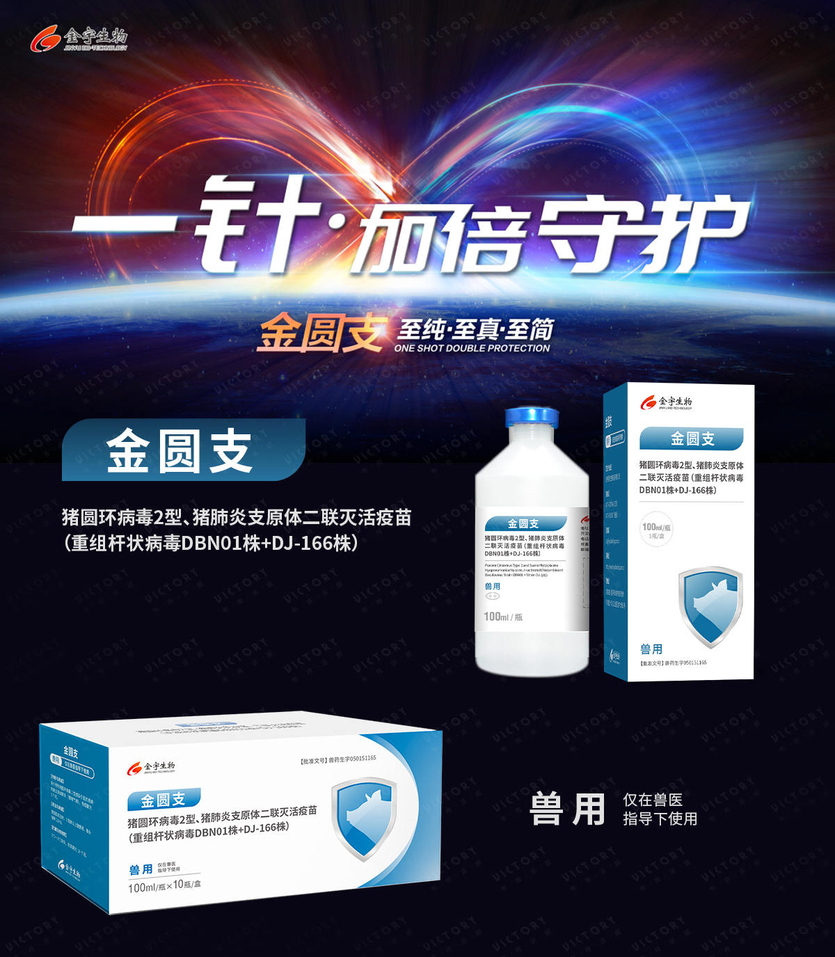 xiaoguo4.jpg